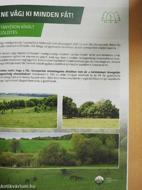 Ültessük gyakorlatba a fenntarthatóságot!