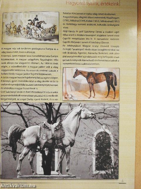 Nemzeti Lovas Program