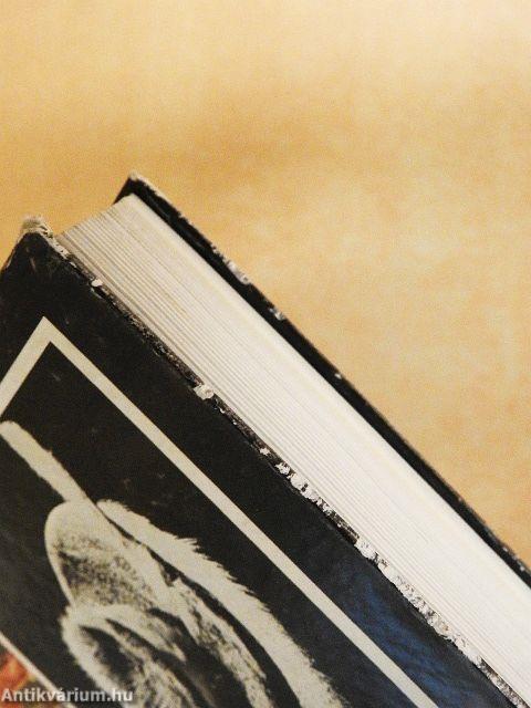 Műalkotások elemzése