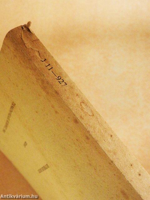 Korrekciós nevelés