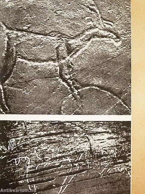 Északi sziklarajzok