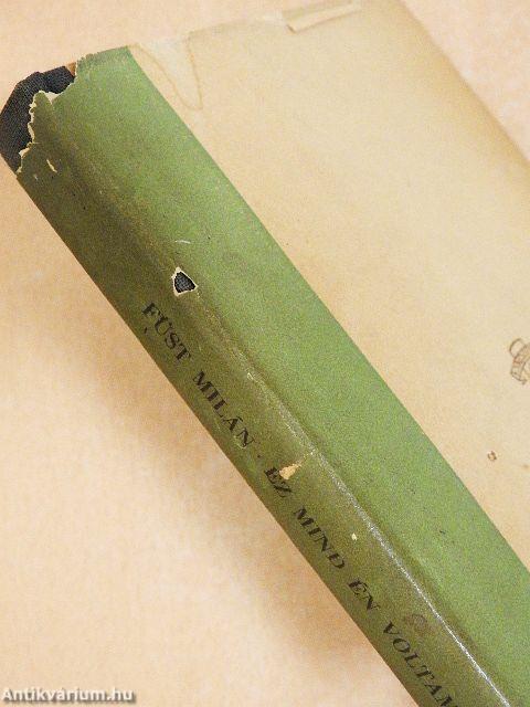 Ez mind én voltam egykor