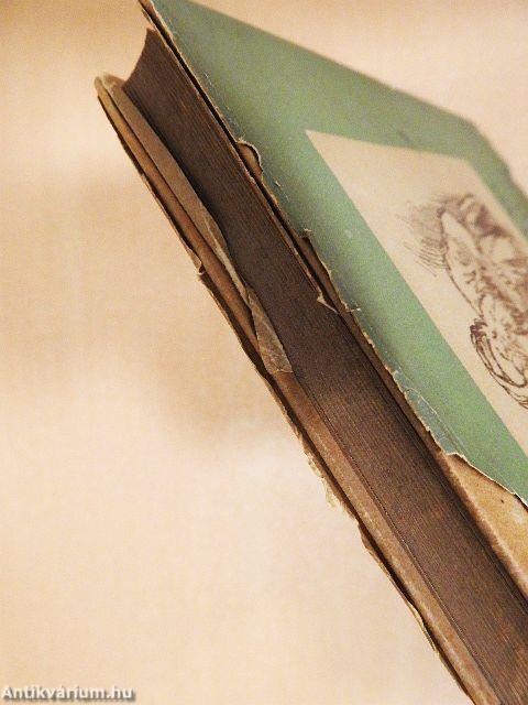 Ez mind én voltam egykor