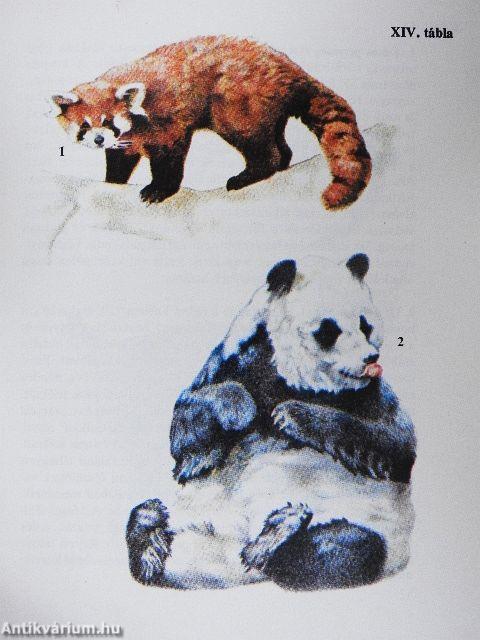 Állatkerti emlősök