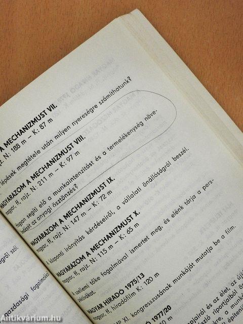 Film és társadalom