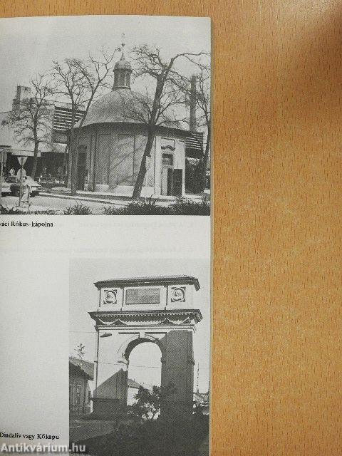 Vác és a Börzsöny vidéke