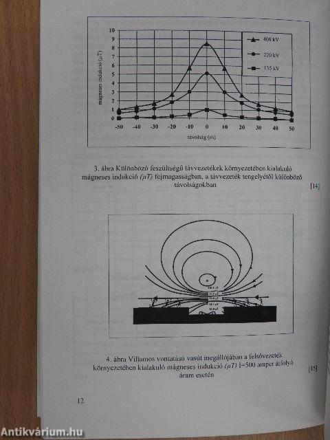 Az elektromágneses terek és környezetünk