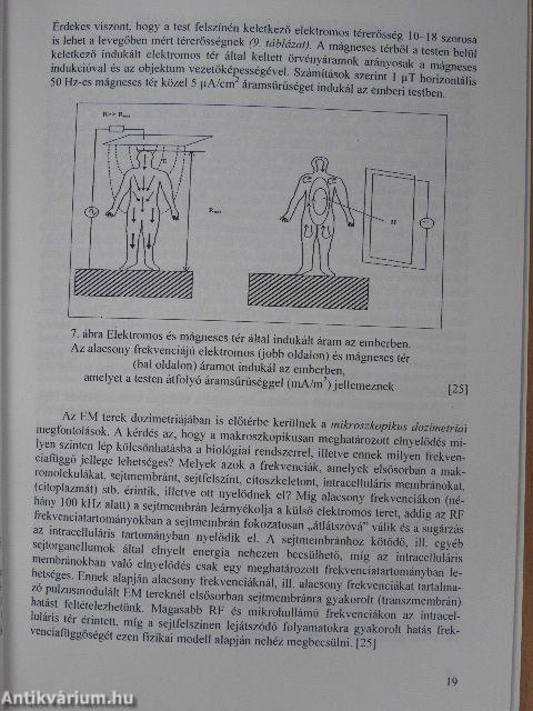 Az elektromágneses terek és környezetünk