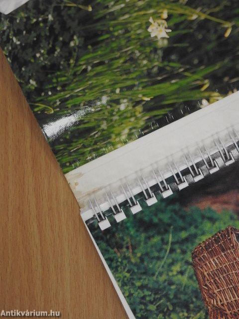 A darázsolás ábécéje