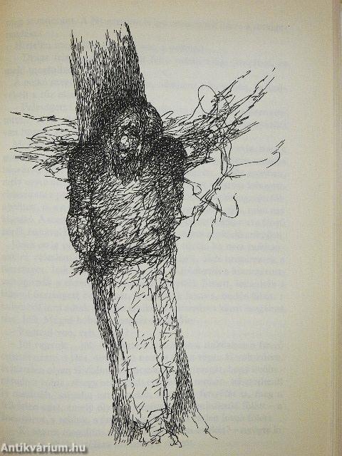 A bolondok könnyei és imái