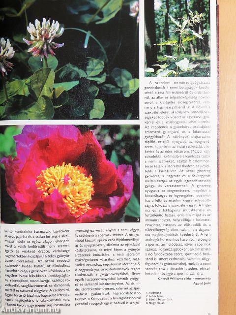 Új Elixír Magazin 1999/1-12.