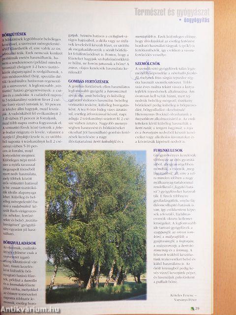 Ideál 1998-1999. január-december