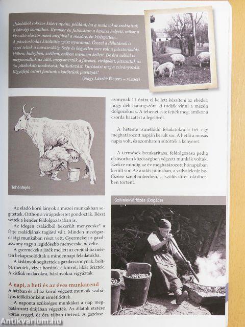 Szülőföldünk 6.