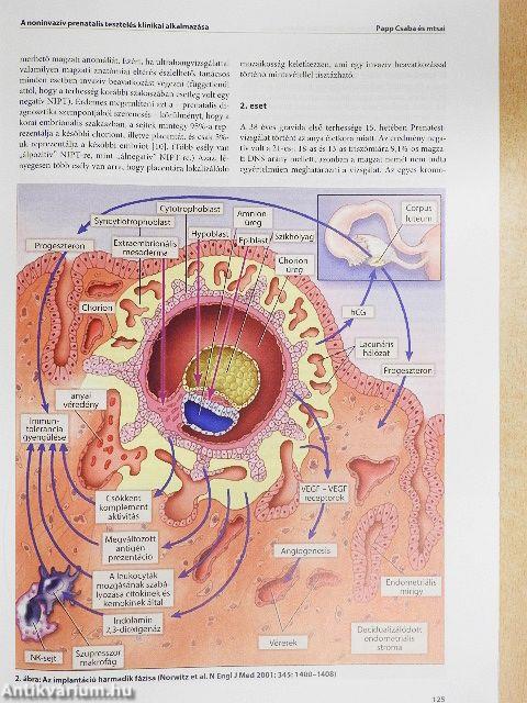 Magyar Nőorvosok Lapja 2019/1-6.