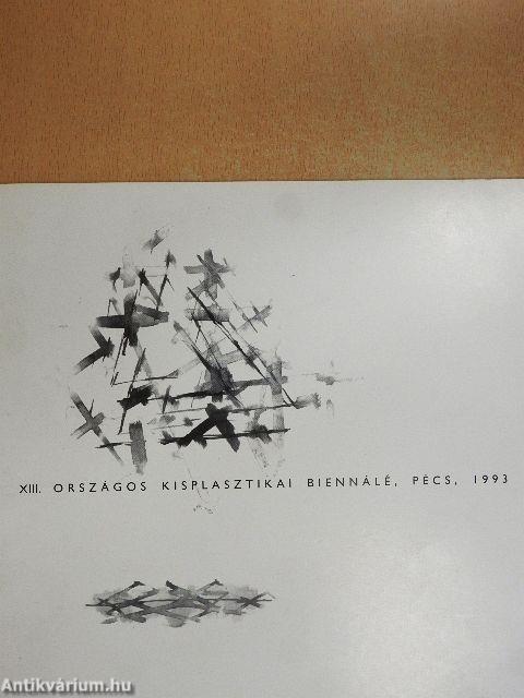 XIII. Országos Kisplasztikai Biennálé