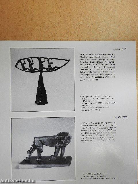 XIII. Országos Kisplasztikai Biennálé