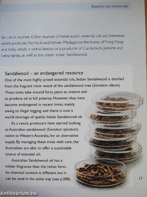 The Essential Oils Handbook