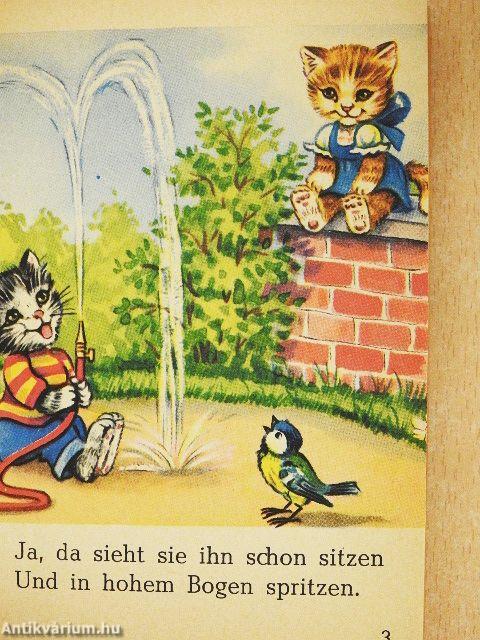 Miezemau hat Geburtstag