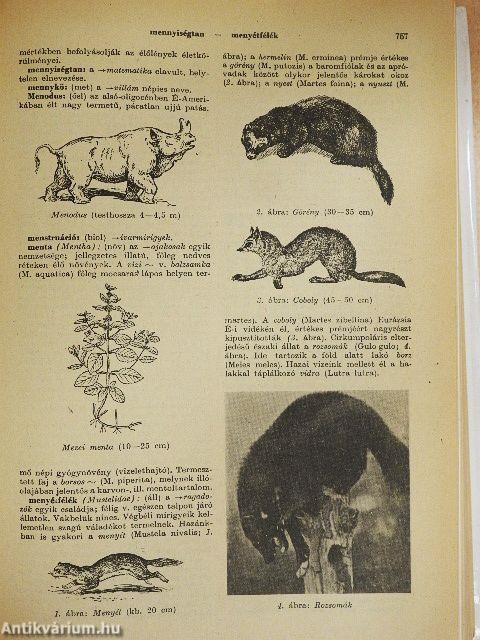 Természettudományi kislexikon I-II.
