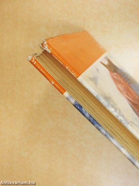 Utazás arab földön