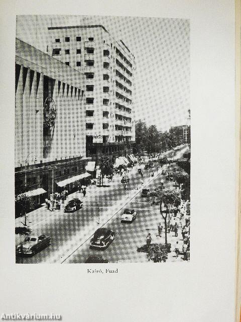 Utazás arab földön