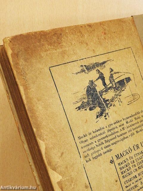 Mackó úr szárazon és vizen