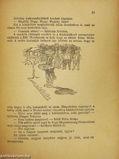 Mackó úr szárazon és vizen