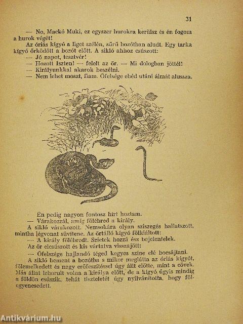 Mackó úr szárazon és vizen