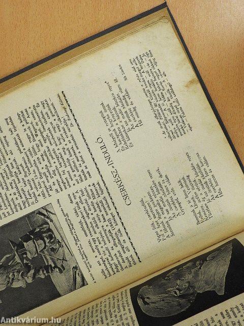 Zászlónk 1912-1913. szeptember-junius