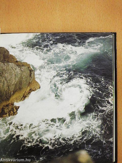 Wo das Glück entspringt