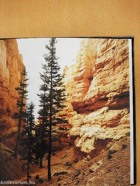 Vertrauen in der Dunkelheit