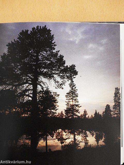 Wenn der Abend kommt