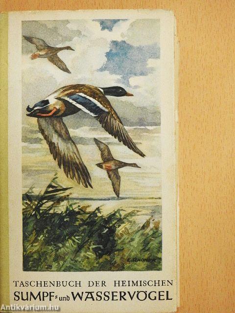 Sumpf- und Wasservögel