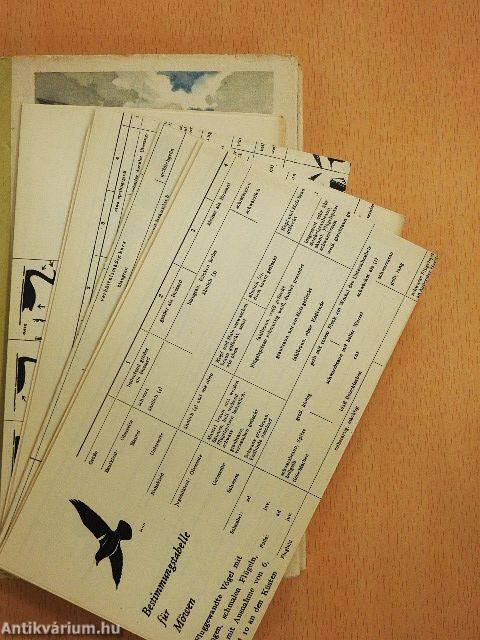 Sumpf- und Wasservögel