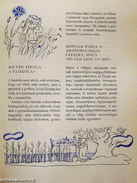 Kérdezz! Felelek mindenre