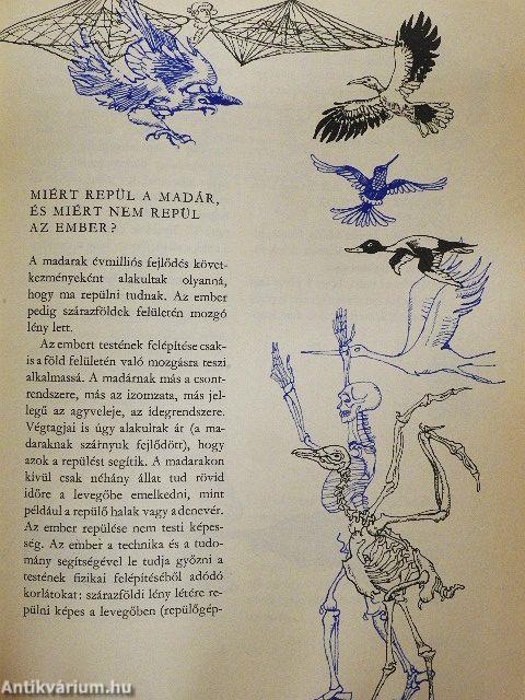 Kérdezz! Felelek mindenre