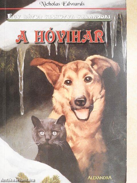 A hóvihar
