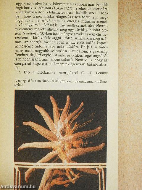 Volt rá energiánk, lesz rá energiánk?