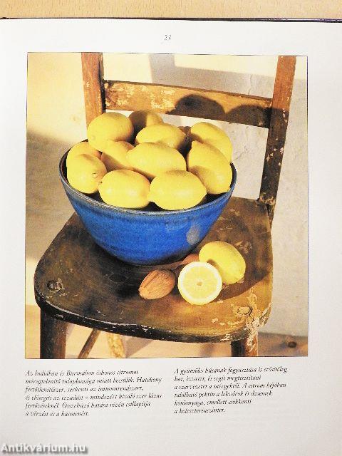 Hétköznapi házipatika