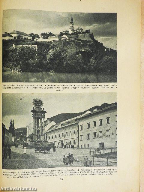 Igazságot Magyarországnak!