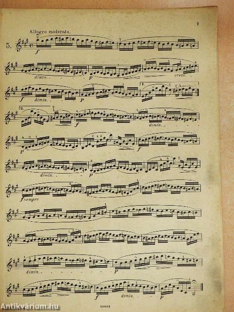 24 Vorübungen zu Kreutzers und Rodes Etüden für die Violine