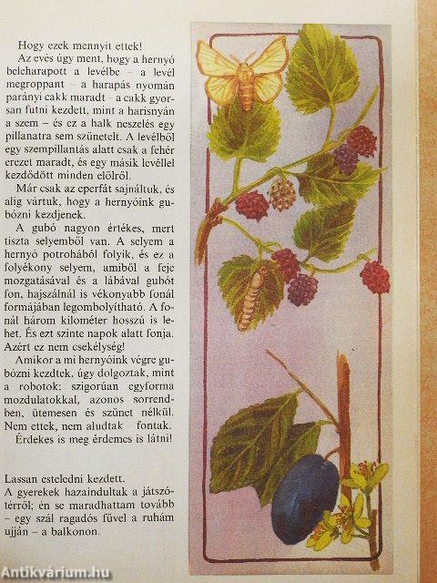 Mézesmázos haramiák