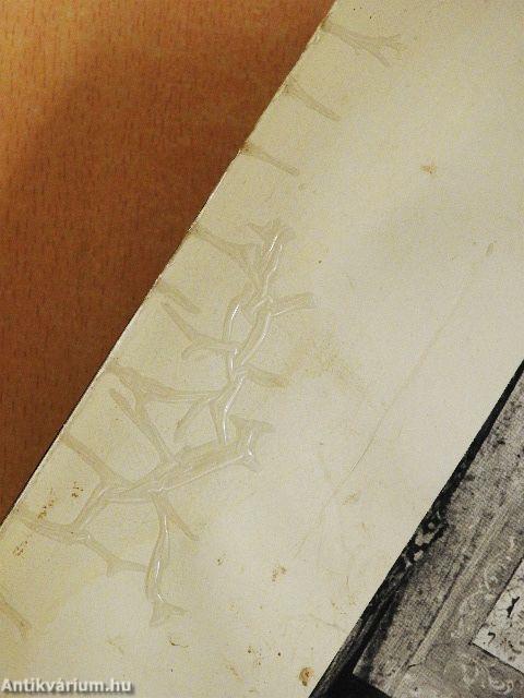 Weöres Sándor és Károlyi Amy élete képekben