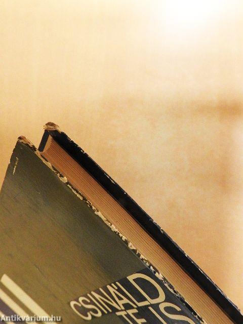 Csináld te is pajtás