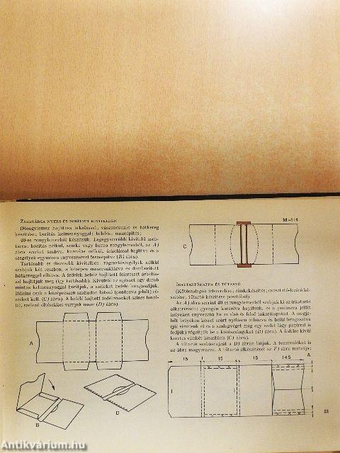 Csináld te is pajtás