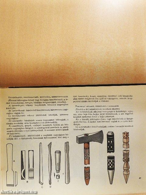 Csináld te is pajtás