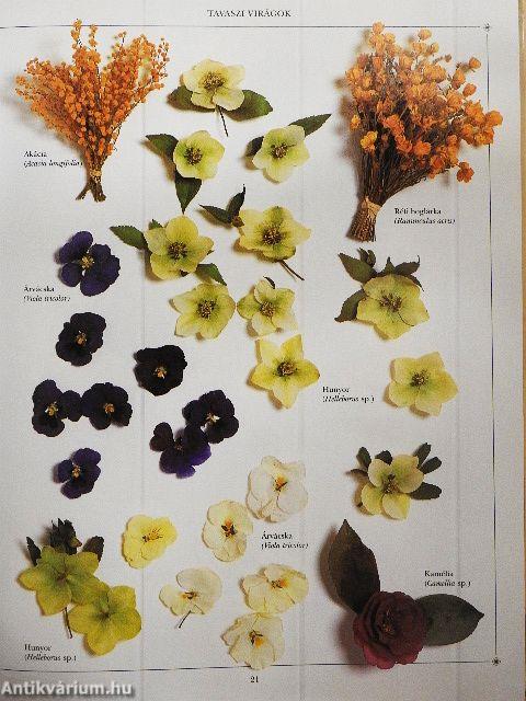 Szárazvirág-kötők kalendáriuma