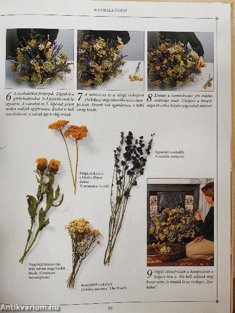 Szárazvirág-kötők kalendáriuma