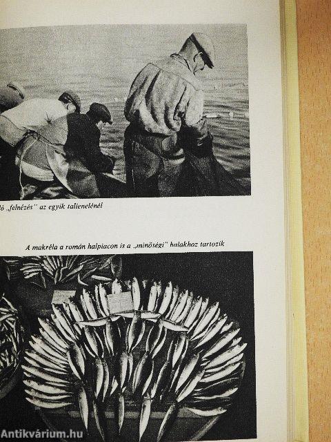 Hálóval a tengeren