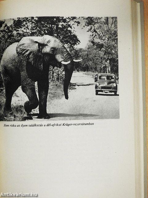 Nagyhírű vadászok nyomában